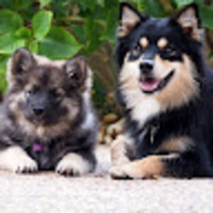 Meet your Posher, Jeanette